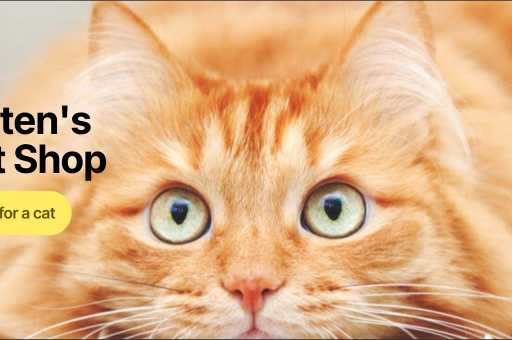 Screenshot 2025-11-10 113629